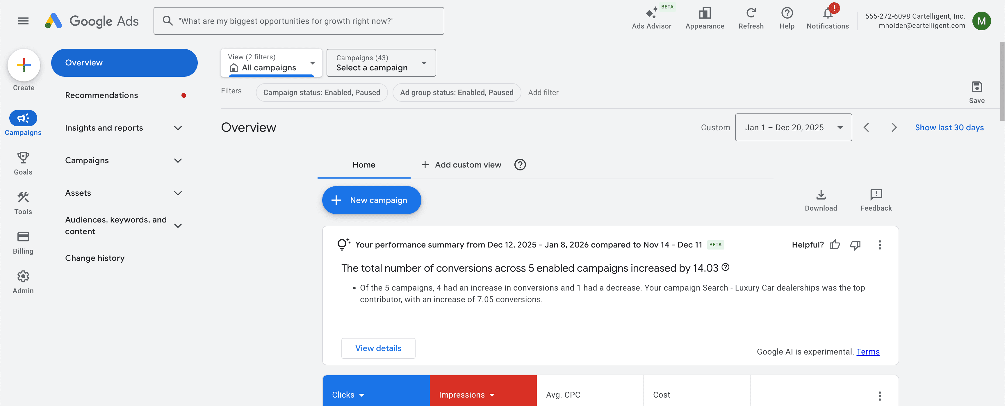 Google Ads Diagnostic Analysis & Conversion Tracking Recovery
